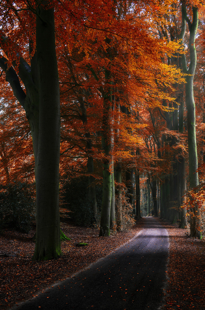 j-k-i-ng:
“““Solse Gat Parkway“ by | Hans Logren” ”